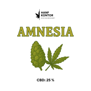 Amnesia
