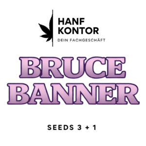 bruce banner