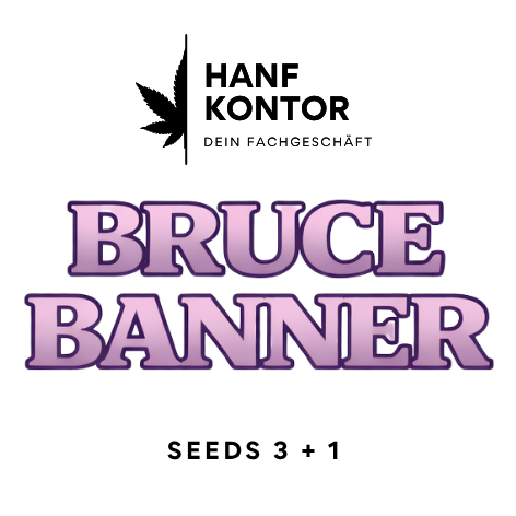 bruce banner