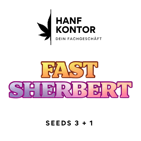 fast sherbert