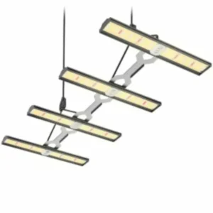 Growlampen