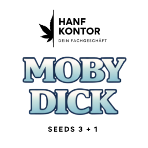 moby dick