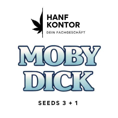 moby dick