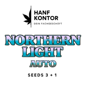 nothern lights auto