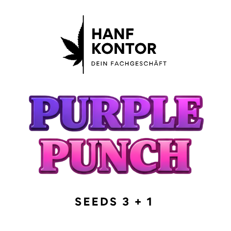 purple punch