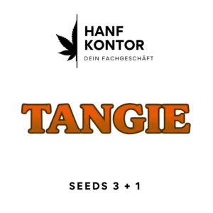 tangie